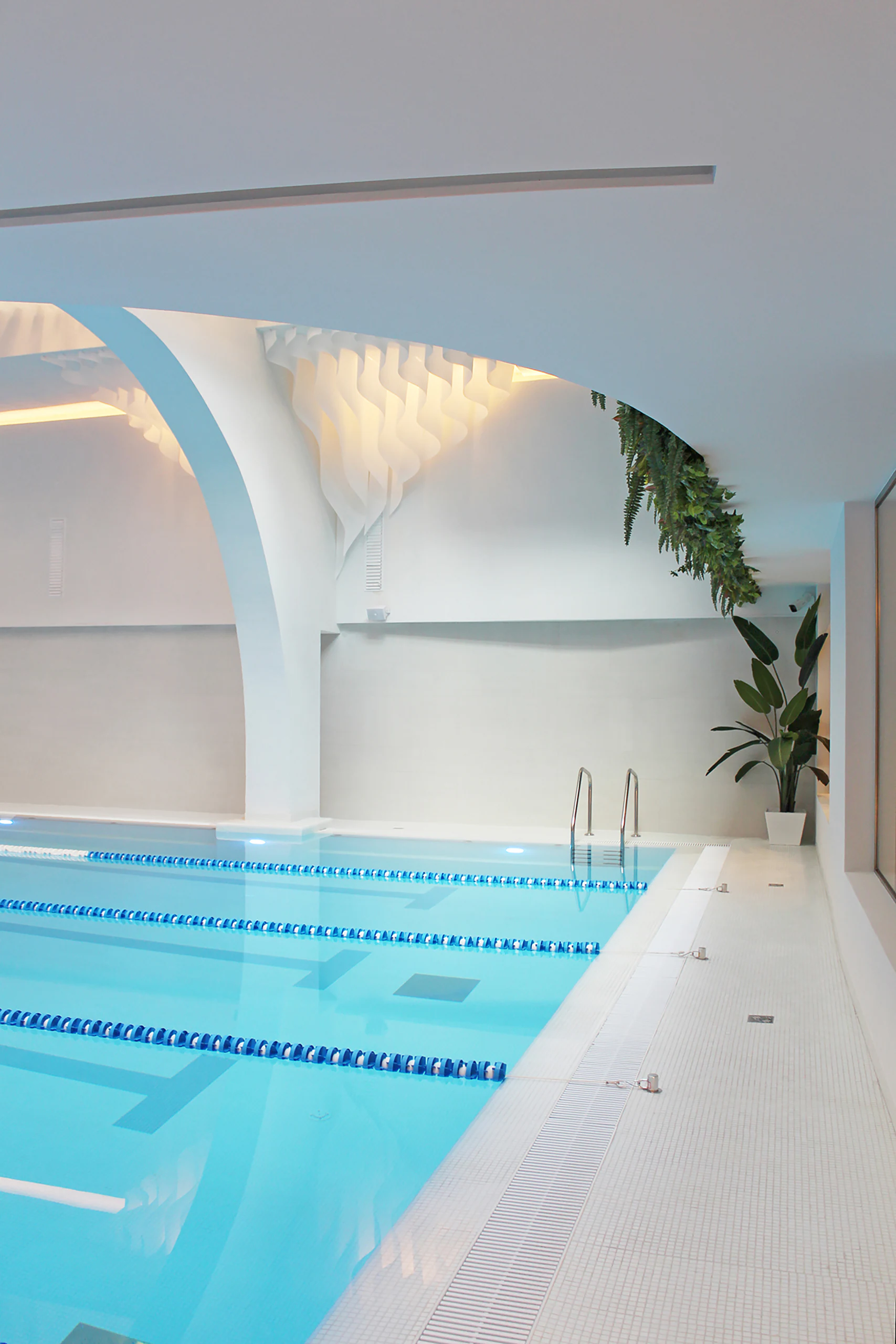 Savoy Wellness — project view 7
