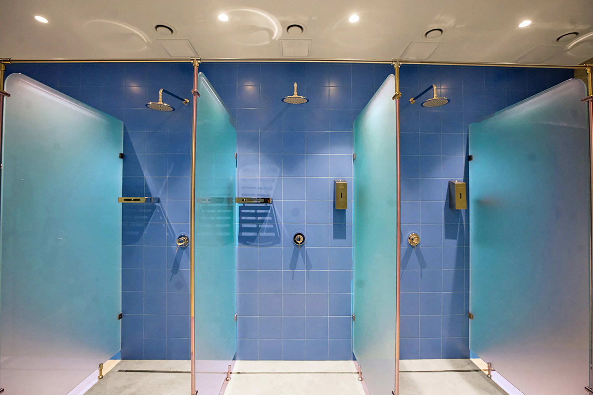 Savoy Wellness — project view 14